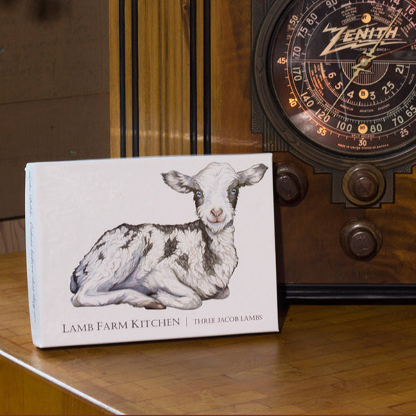 Lamb Farm Boxed Set of 18 Jacob Sheep Note Cards